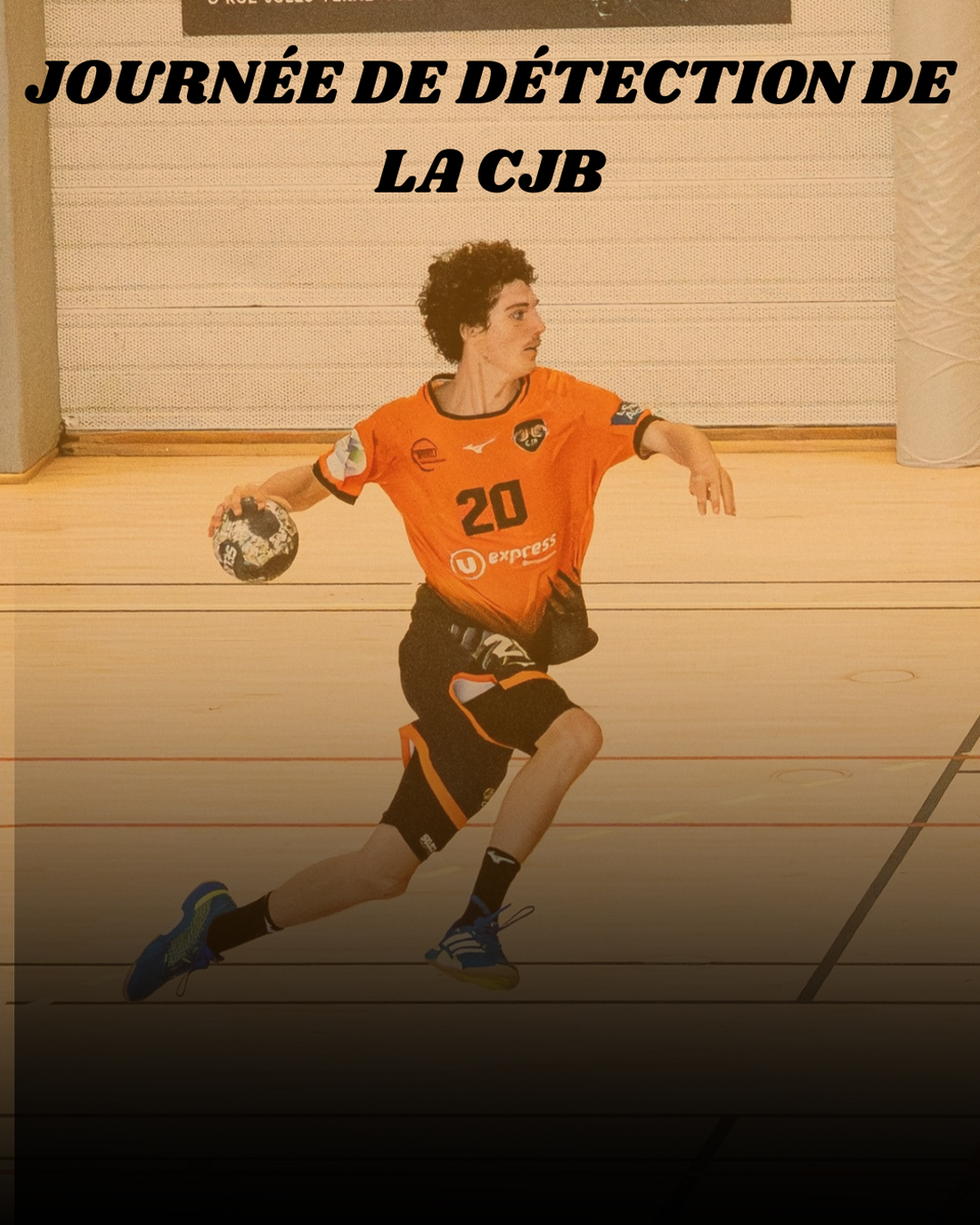 Journée de Détection