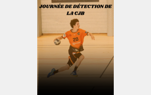 Journée de Détection